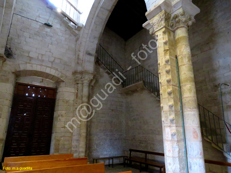 m.a.guadilla Fotos de WAMBA (128)